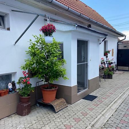 Ferienwohnung Brick Airport Cristian  Exterior foto