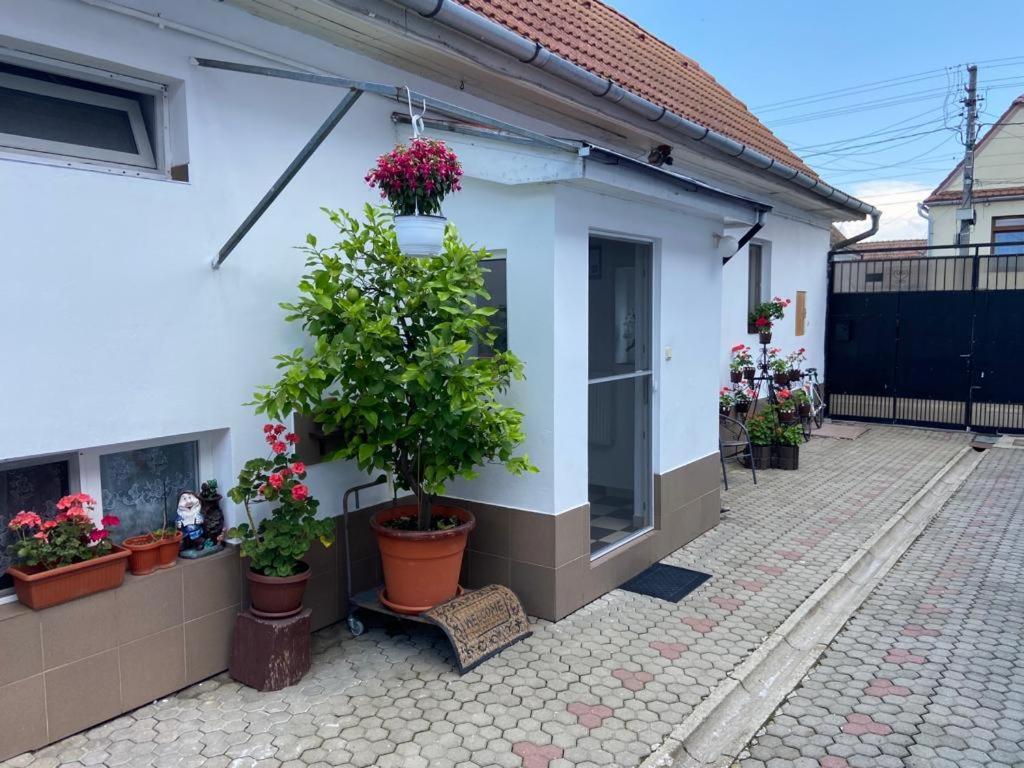 Ferienwohnung Brick Airport Cristian  Exterior foto